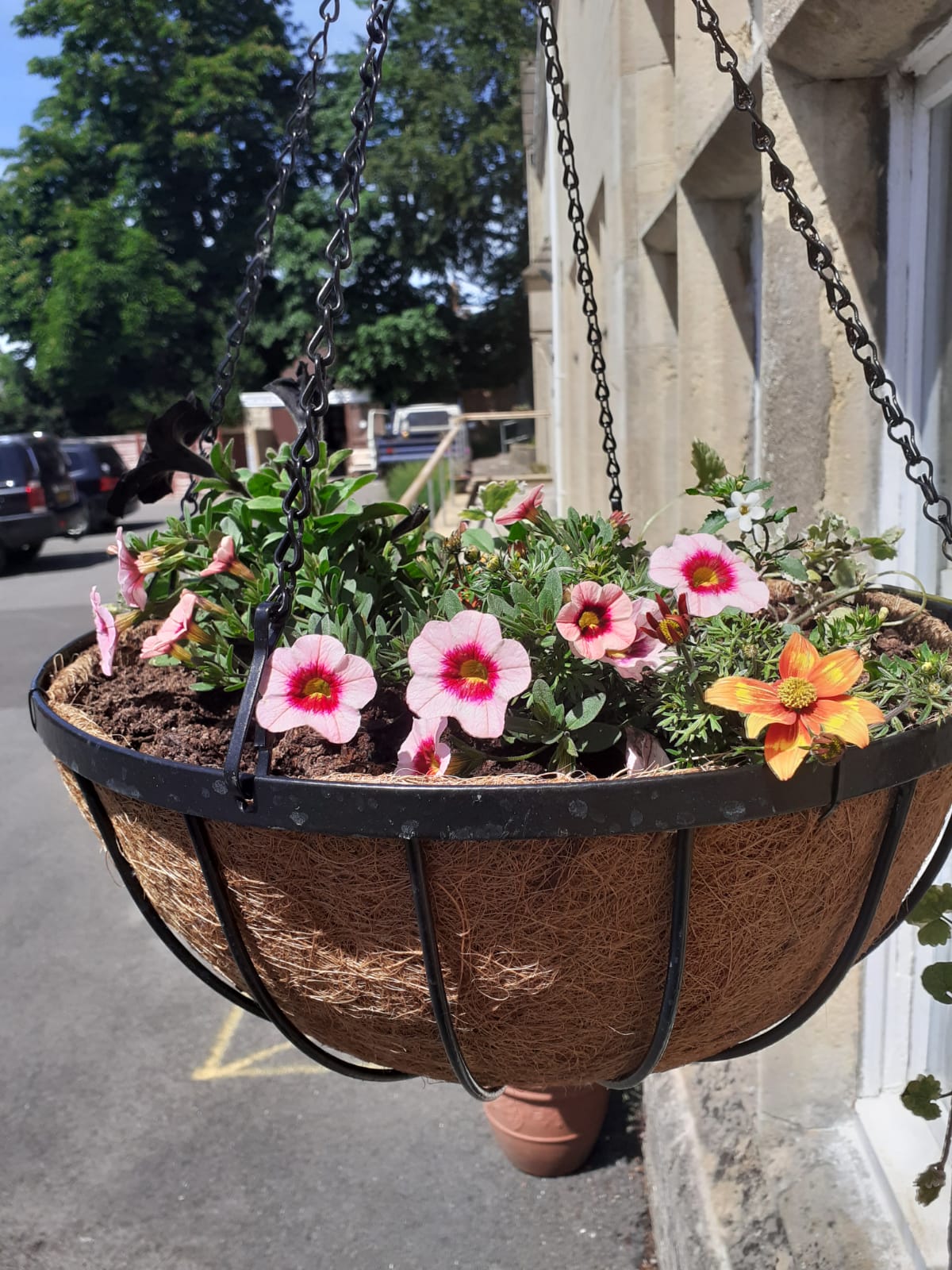 Gardens in Bloom
